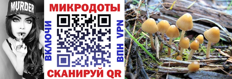 Купить где  Нижние Серги  Псилоцибиновые грибы ЛСД 