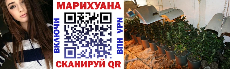 Купить где  Нижние Серги  Шишки марихуана MAZAR 